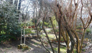 Orto Botanico