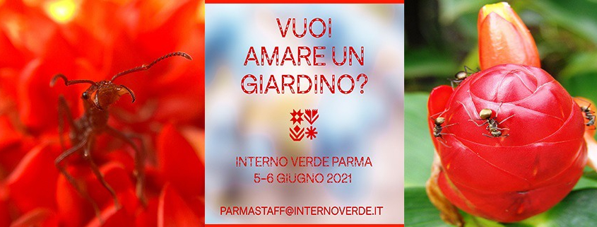 Interno Verde - Parma 5 e 6 giugno 2021