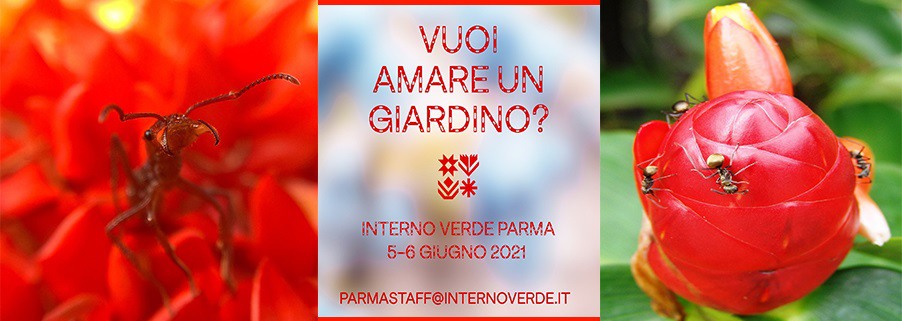 Interno Verde - Parma 5 e 6 giugno 2021