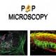 Mostra scientifica "POP Microscopy"