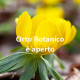 Orto Botanico - fiore