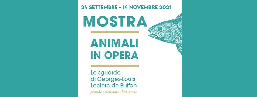 La mostra "Animali in opera. Lo sguardo di George-Louis Leclerc de Buffon"