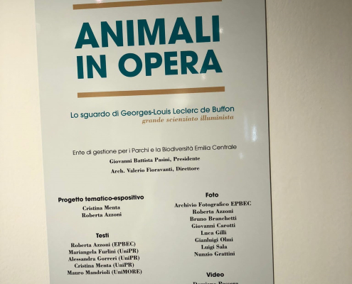 La mostra "Animali in opera. Lo sguardo di George-Louis Leclerc de Buffon"