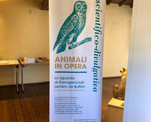 La mostra "Animali in opera. Lo sguardo di George-Louis Leclerc de Buffon"