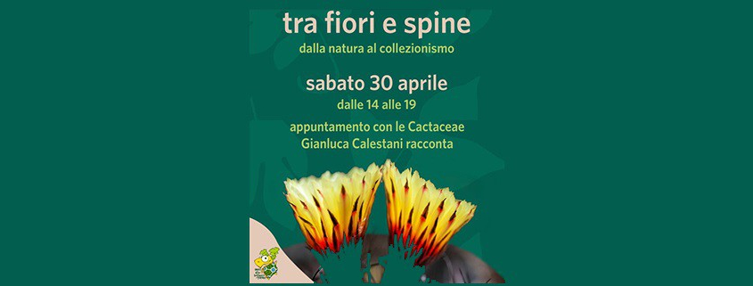 Tra fiori e spine dalla natura al collezionismo - Sabato 30 aprile 2022 - Orto Botanico