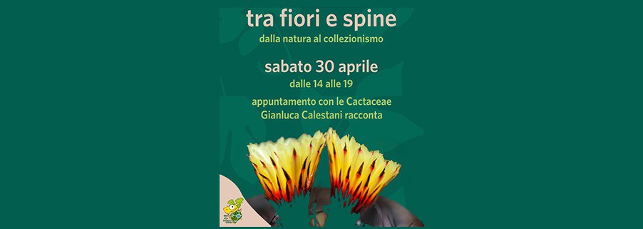 Tra fiori e spine dalla natura al collezionismo - Sabato 30 aprile 2022 - Orto Botanico