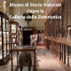 Museo di Storia Naturale . Galleria della sistematica