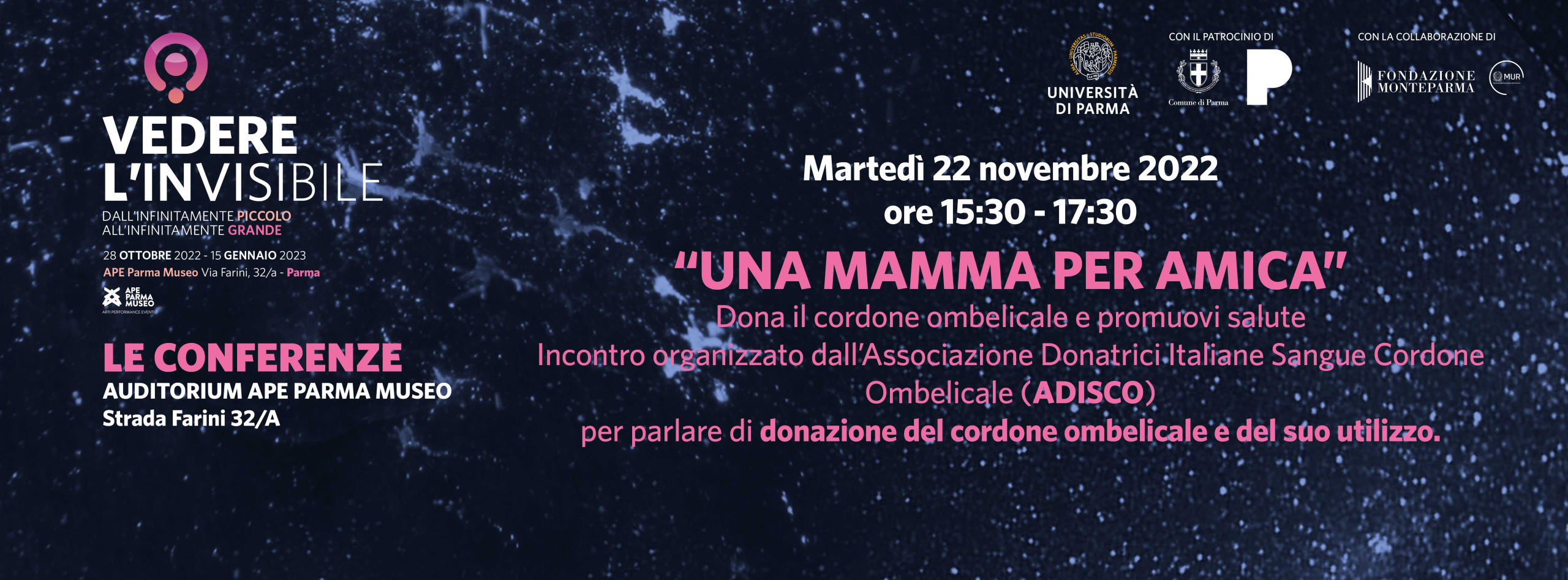 Mostra "Vedere l'invisibile" - Una mamma per amica. Dona il cordone ombelicale e promuovi salute - Convegno