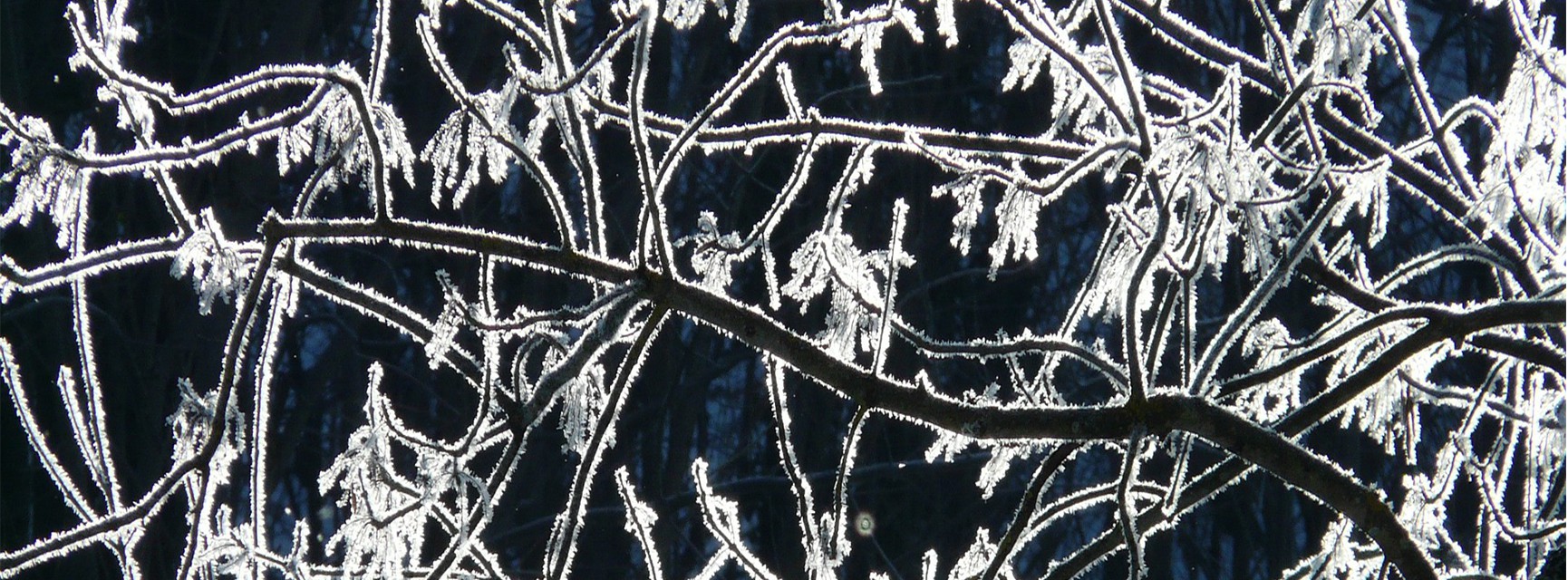 Inverno