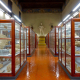 Museo di Storiografia Naturalistica