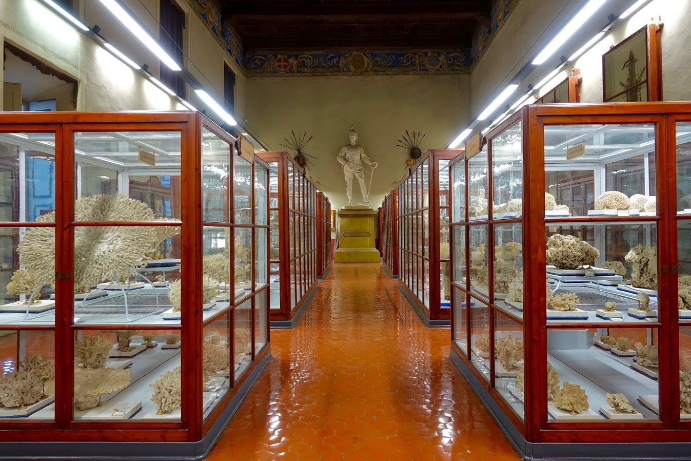 I percorsi del Museo di Storia Naturale