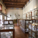Museo di Storiografia Naturalistica