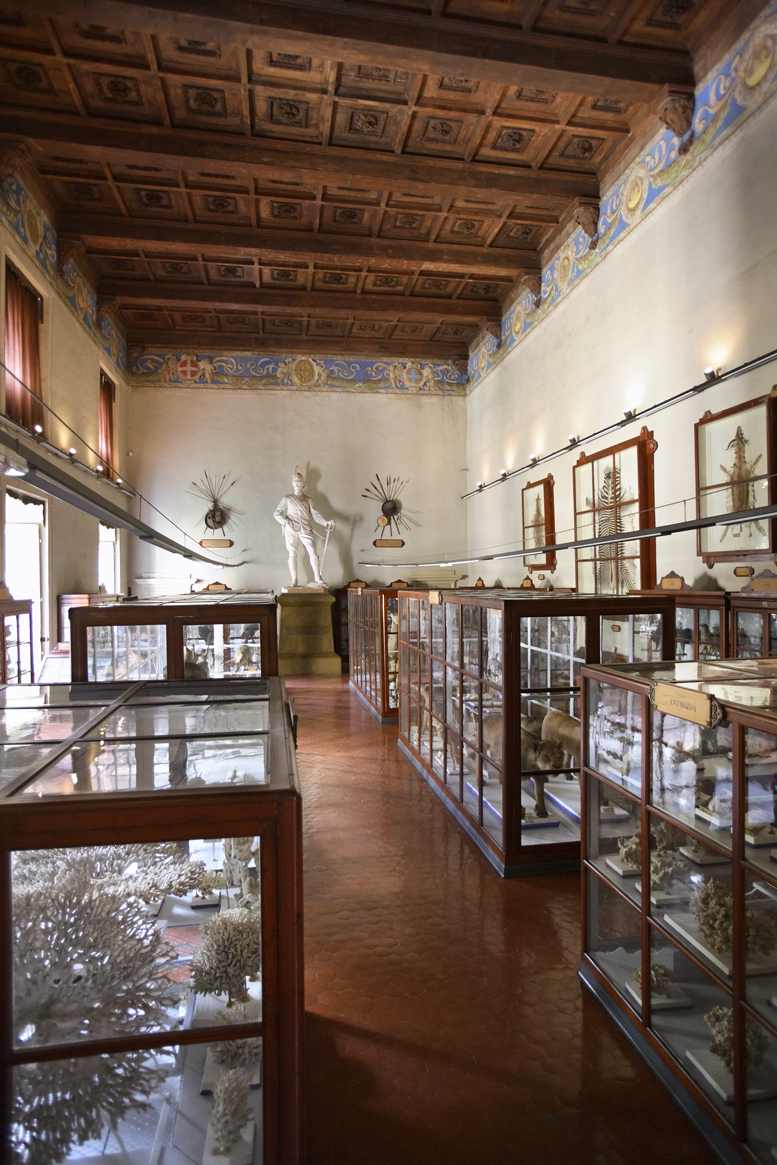 Museo di Storiografia Naturalistica