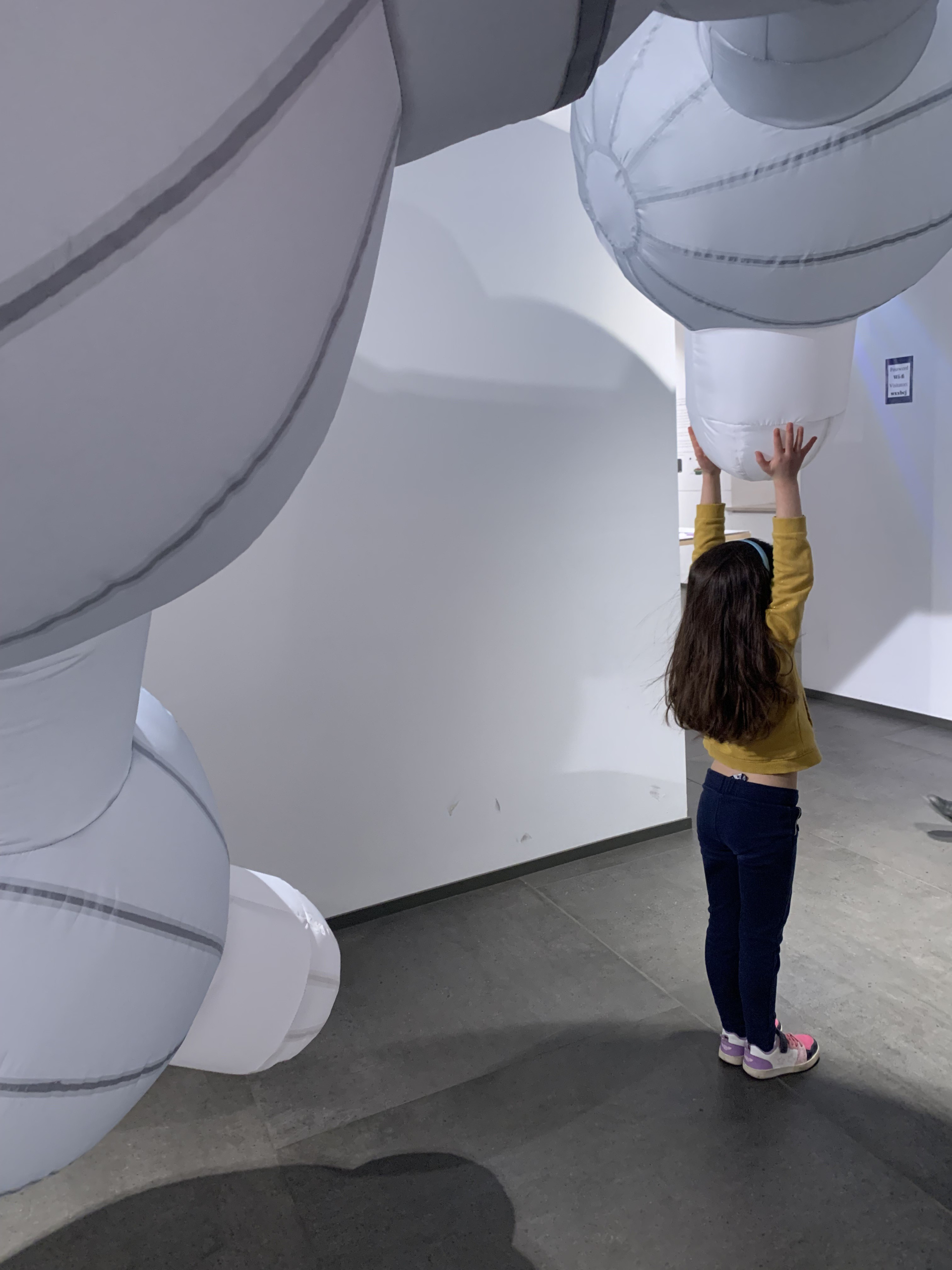 Mostra: "Vedere l'invisibile" - Donne e Ragazze nella Scienza - 11 febbraio 2023