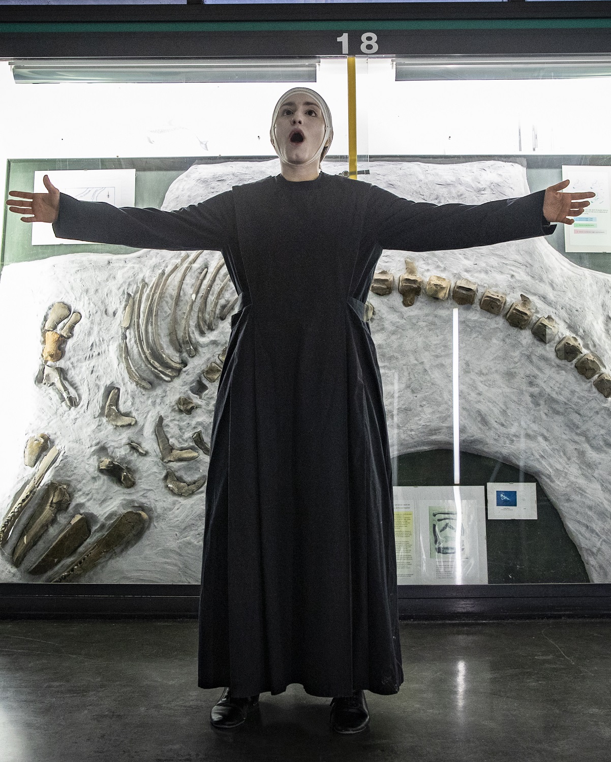 Museo di Paleontologia,: "Morfologie del Paesaggio – Reidratazioni performative del presente urbano" di Lenz Fondazione - 2 marzo 2023