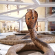 I Like Parma 2023 - 1 e 2 aprile 2023 - Apertura straordinaria del Museo di Storia Naturale