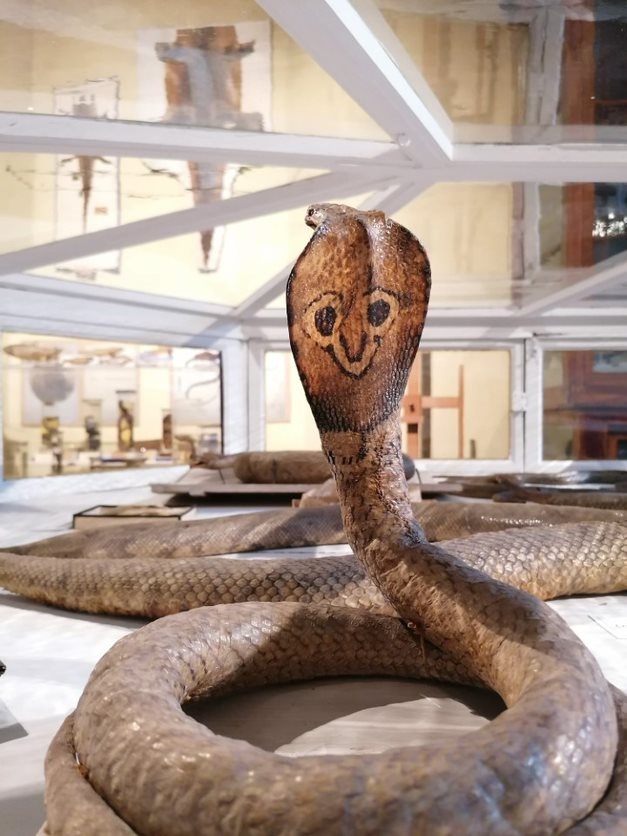 I Like Parma 2023 - 1 e 2 aprile 2023 - Apertura straordinaria del Museo di Storia Naturale