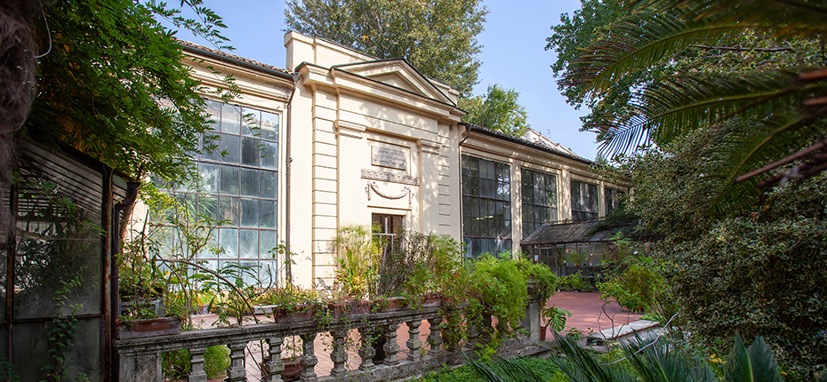 Orto Botanico: serre
