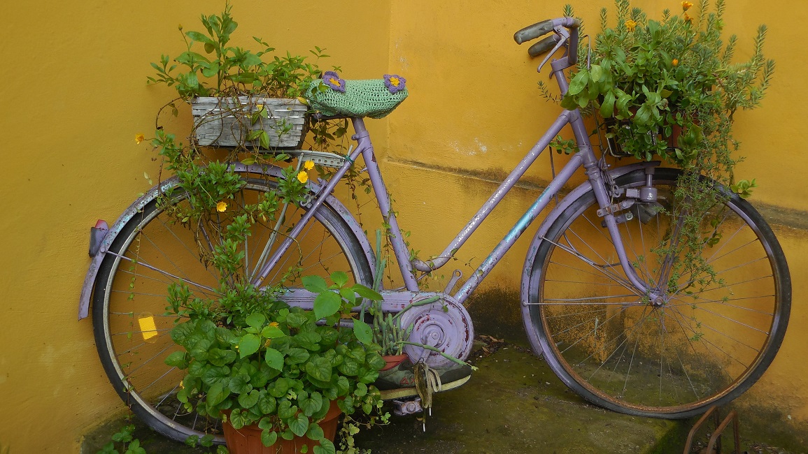 Orto Botanico: le fioriture di maggio