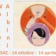 Mostra "Walter Albini" - CSAC - 14 ottobre 2023/14 aprile 2024