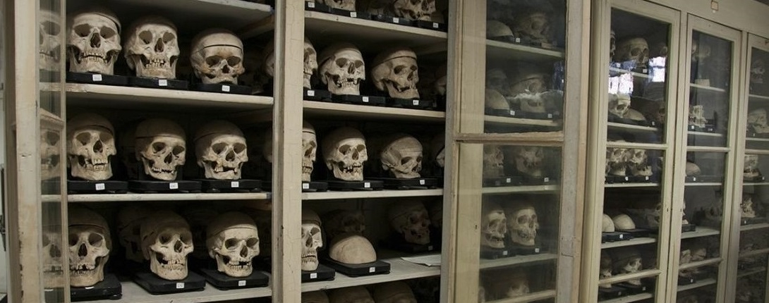 Biomedicina-Collezione-Crani