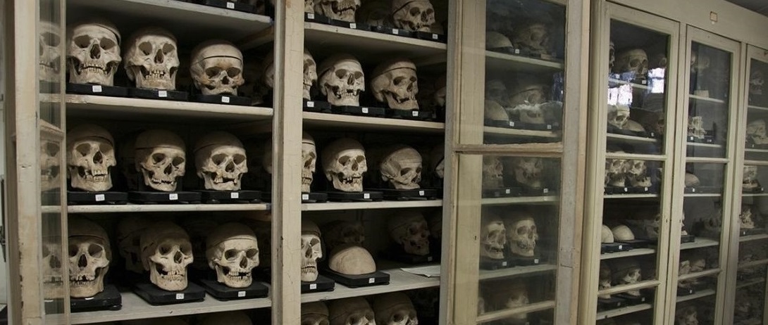 Biomedicina-Collezione-Crani