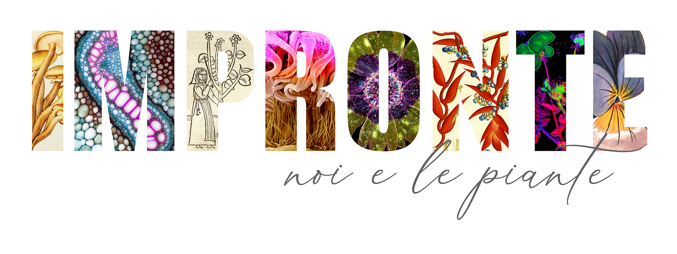 Mostra "Impronte. Noi e le piante" - Logo