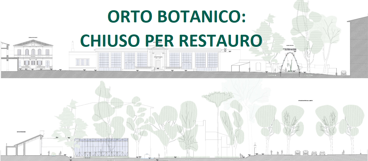 Orto Botanico: chiusura per restauro