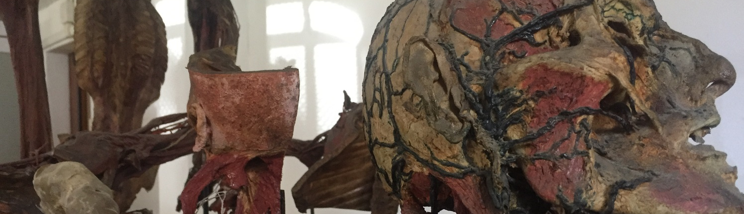 Biomedical Collection Biomedical Collection