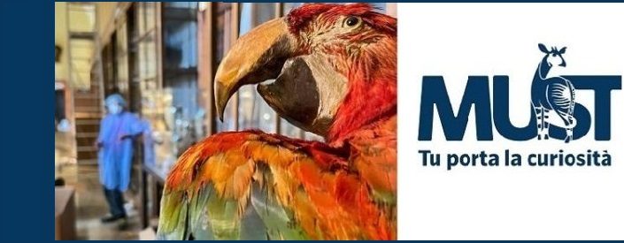MUST - Museo di Storiografia Naturalistica