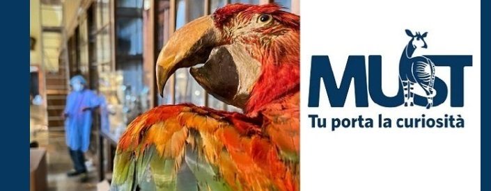 Presentazione MUST