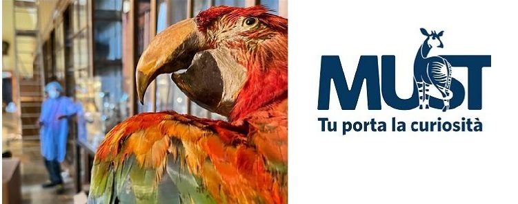 MUST - Presentazione del nuovo museo
