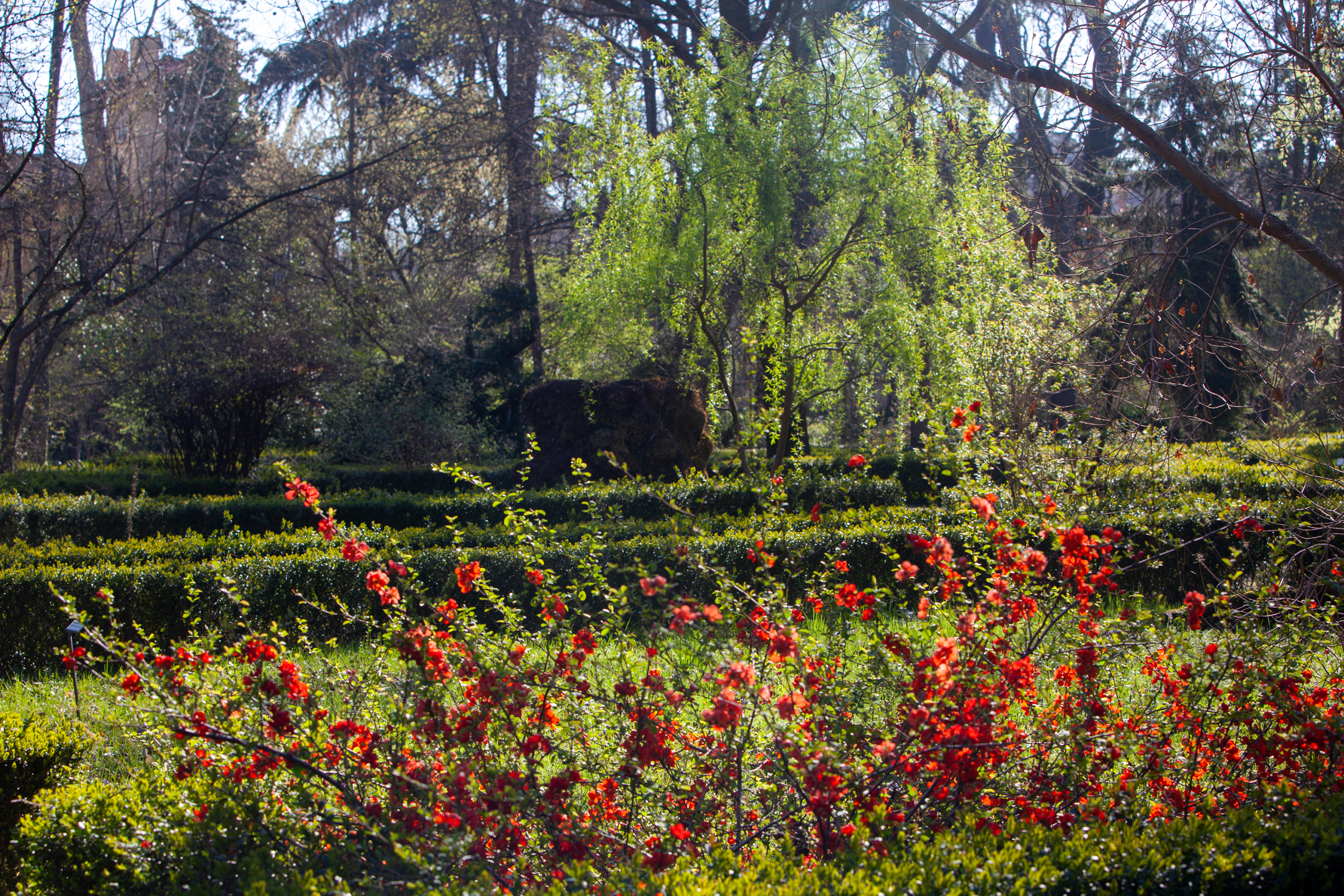 Orto Botanico - zona prativa