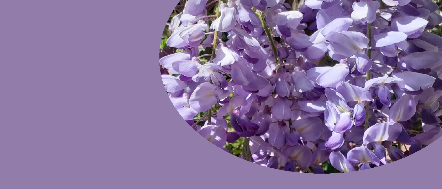 A tutti auguri di Buona Pasqua