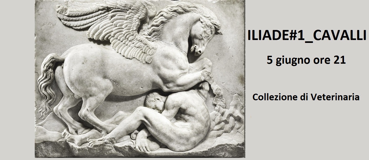 ILIADE#1_CAVALLI 5 giugno 2025 - Lenz