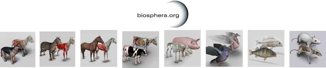 Collezione Veteinaria - Servizi educativi - Biosphera