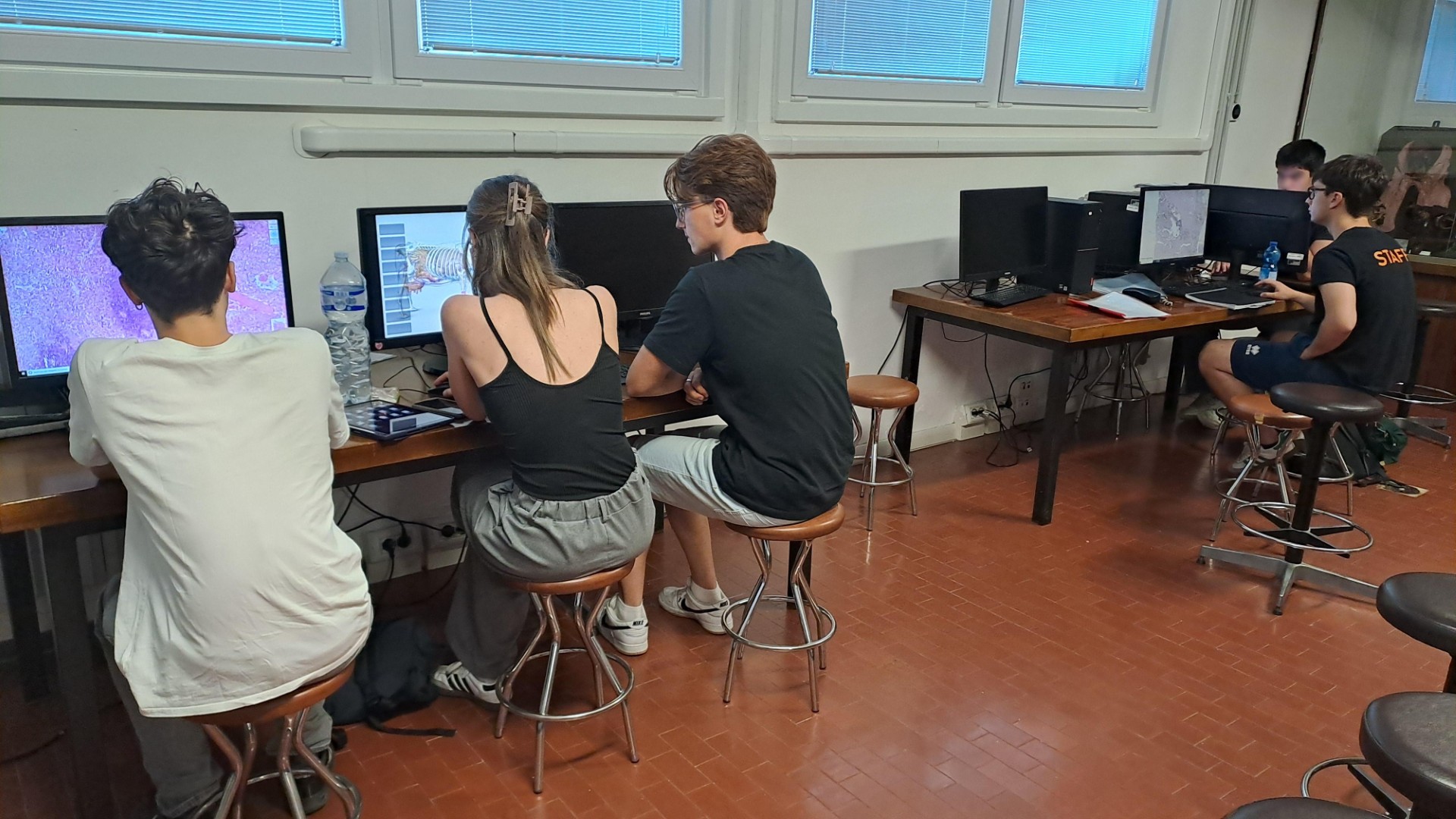 Collezione veterinaria - Studenti al pc