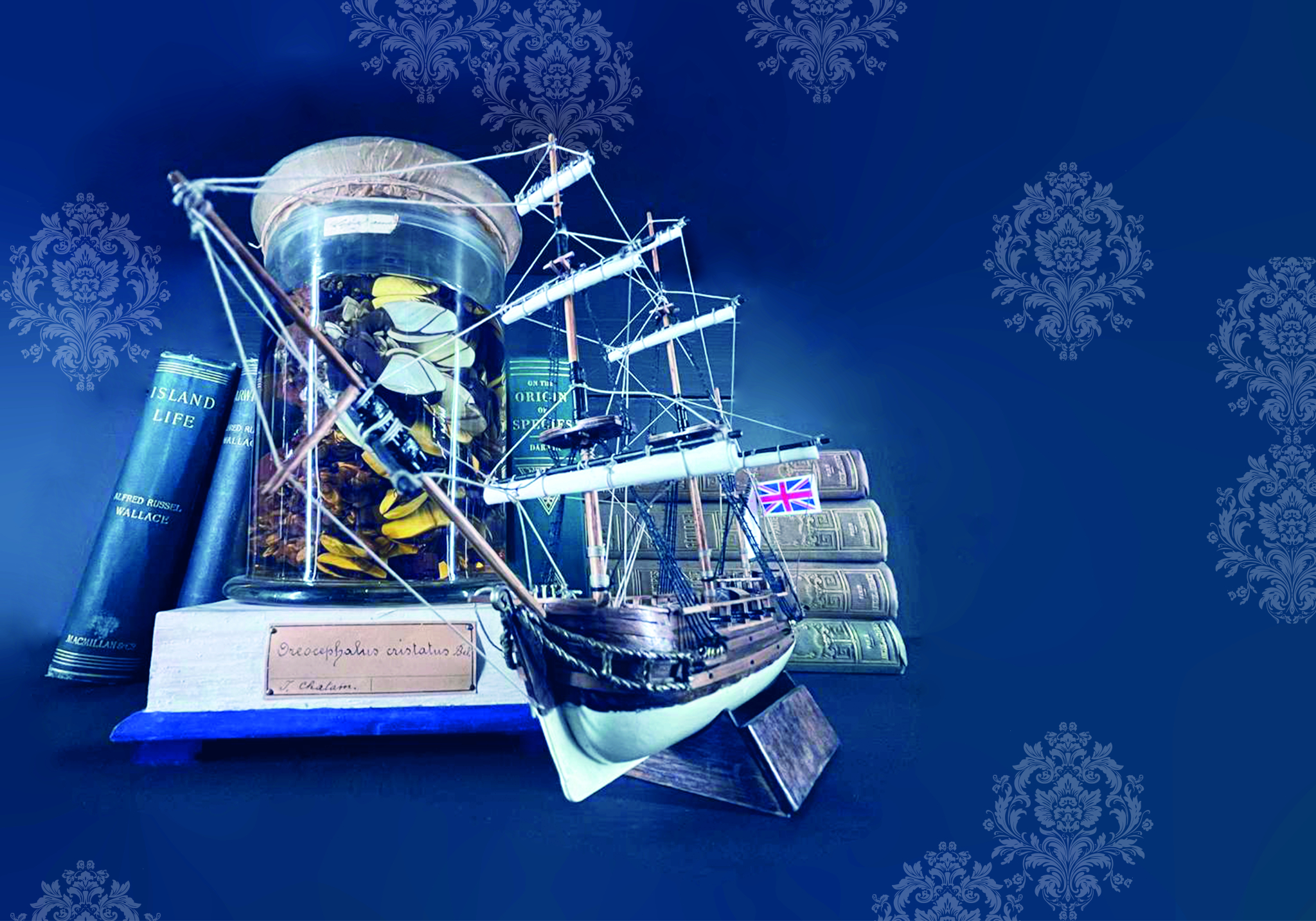 MUST - cerimonia inaugurale - 30 ottobre ore 16