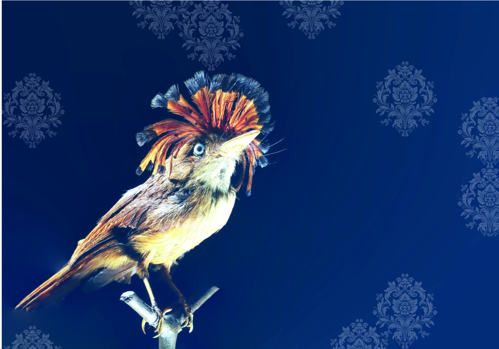 copertina pagine varie prenotazioni