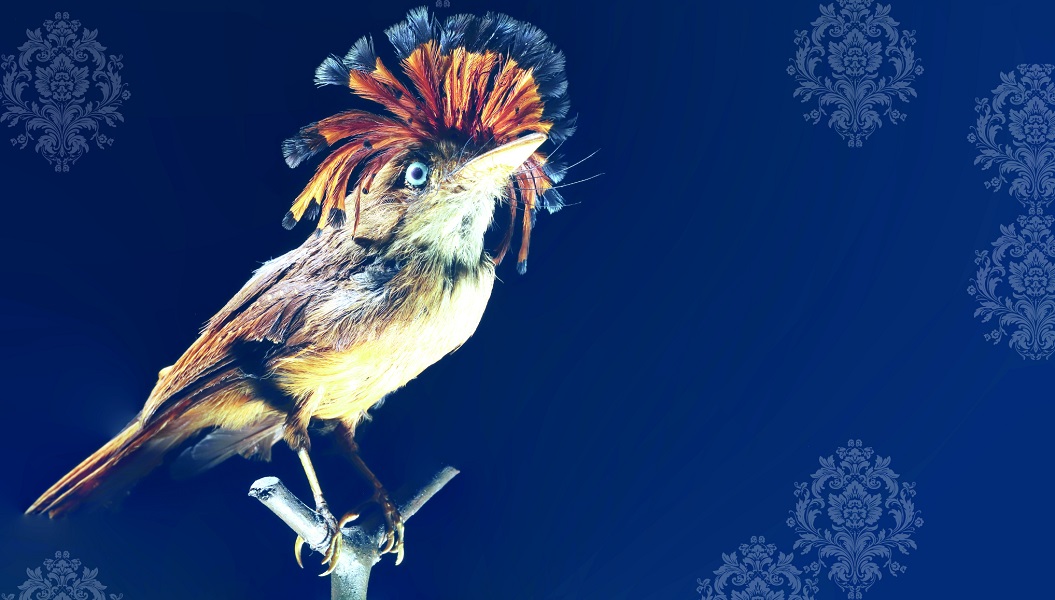 MUST prenotazione per le scuole