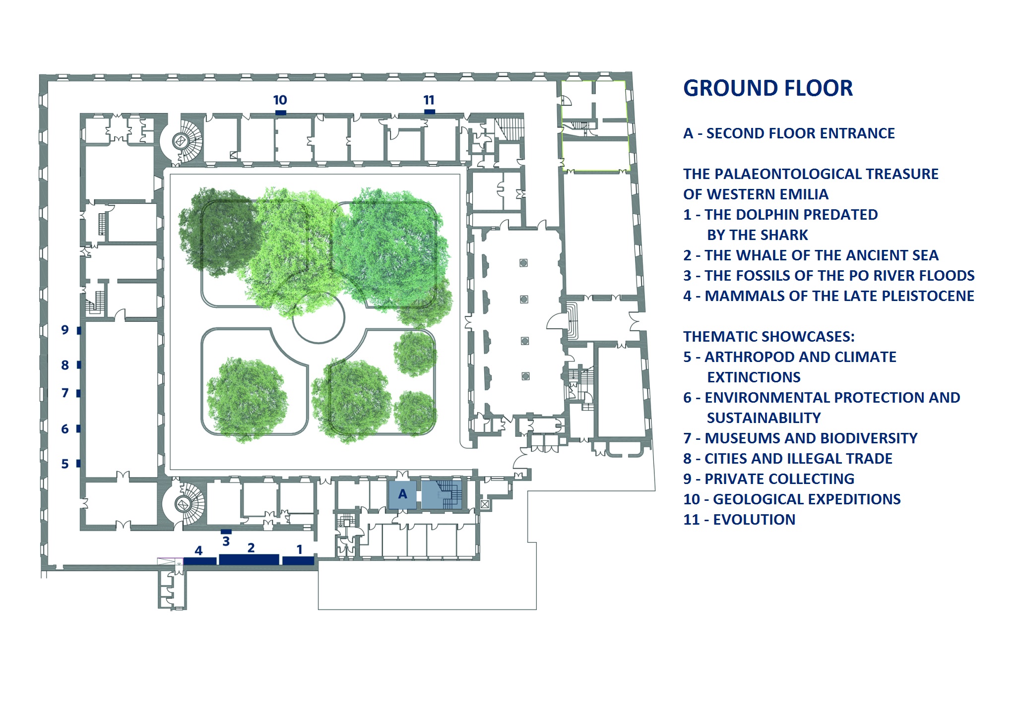 ground floor