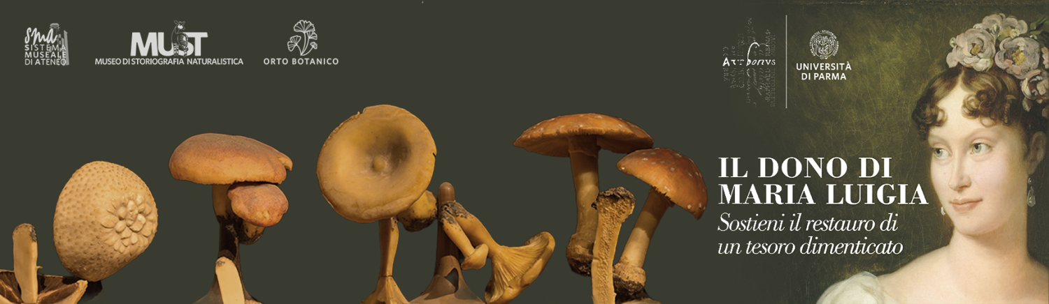 Art Bonus - Maria Luigia e i funghi di cera