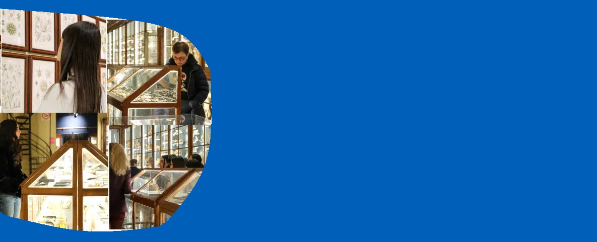 Università svelate 2026 MUST