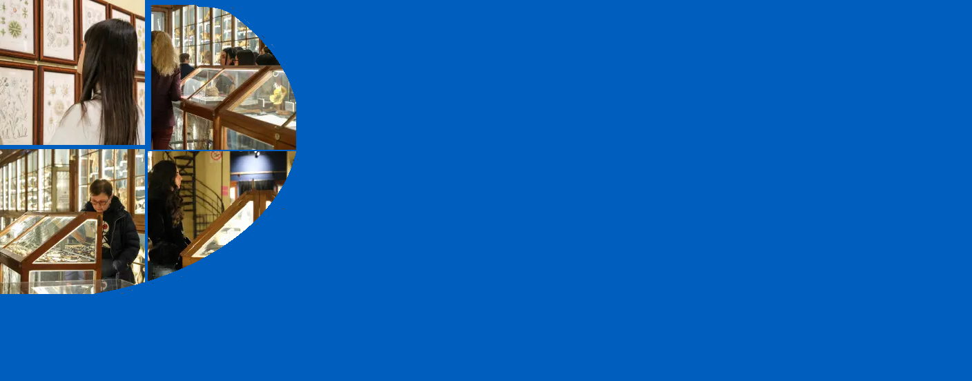 Università svelate 2026