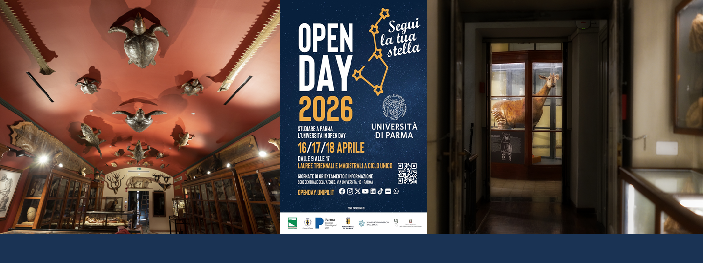 Open Day 2026