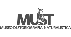 Museum of Natural Historiography