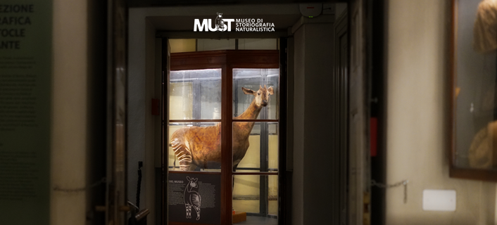 MUST chiusura estiva - agosto 2026